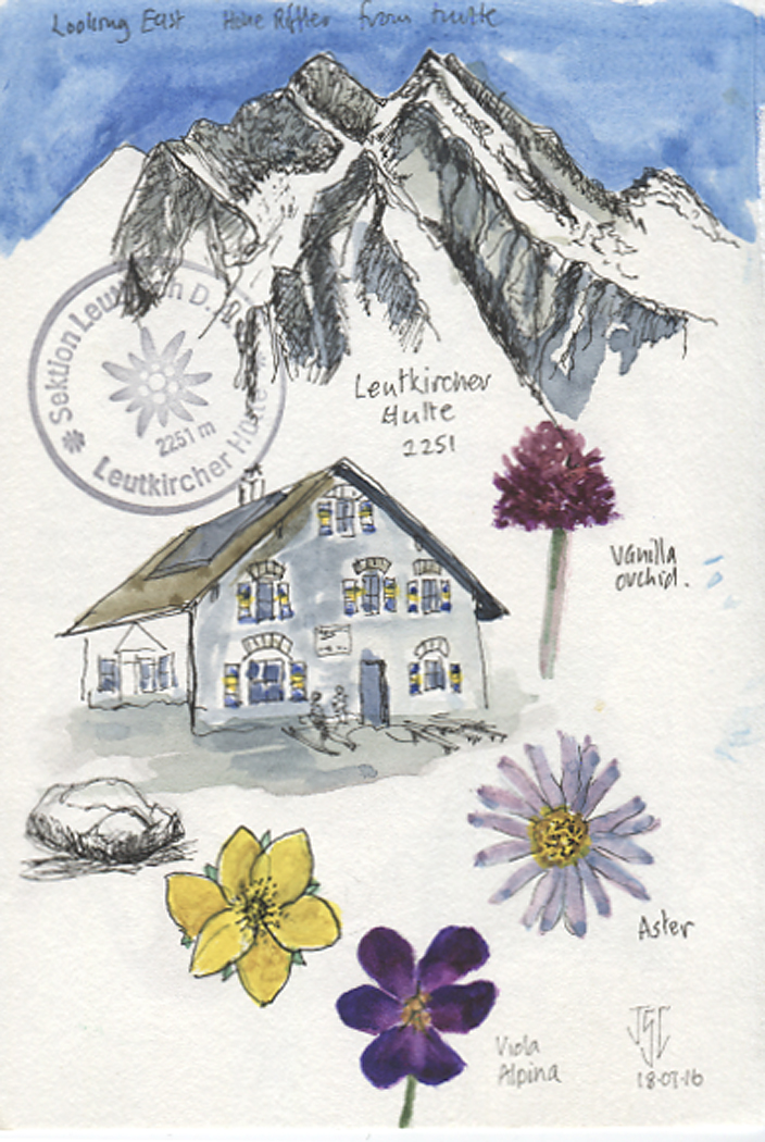 July Flowers